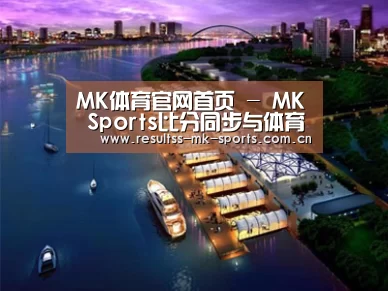 案例展示八