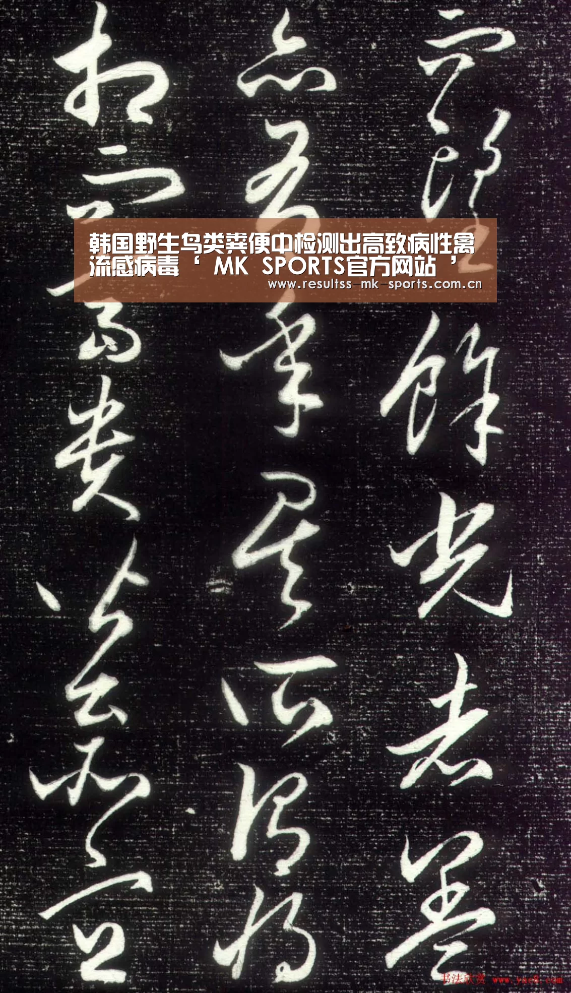 韩国野生鸟类粪便中检测出高致病性禽流感病毒‘ MK SPORTS官方网站 ’(图1) MK体育