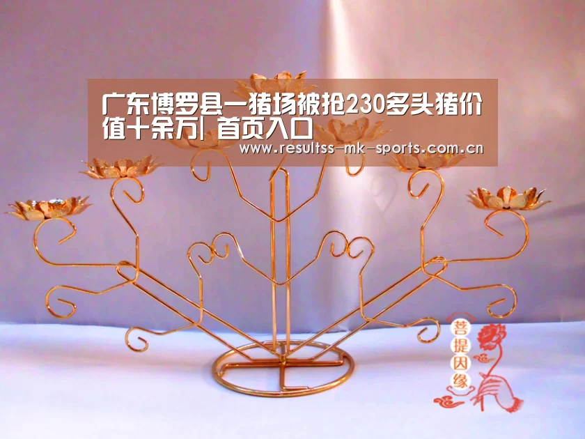 MK体育 