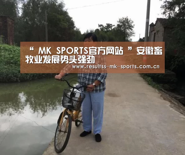  首页入口