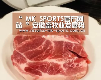 MK体育 