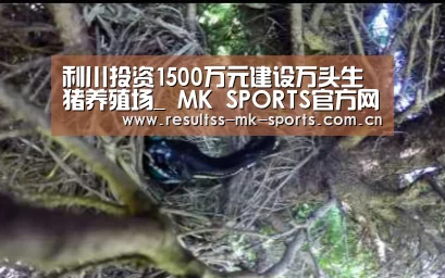 利川投资1500万元建设万头生猪养殖场_ MK SPORTS官方网站 