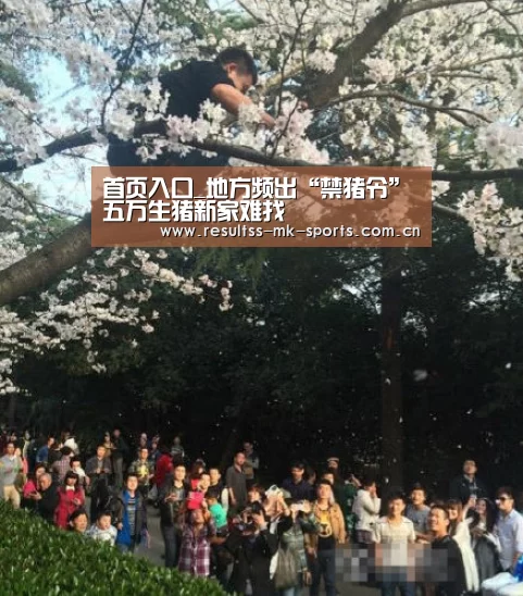  MK SPORTS官方网站 