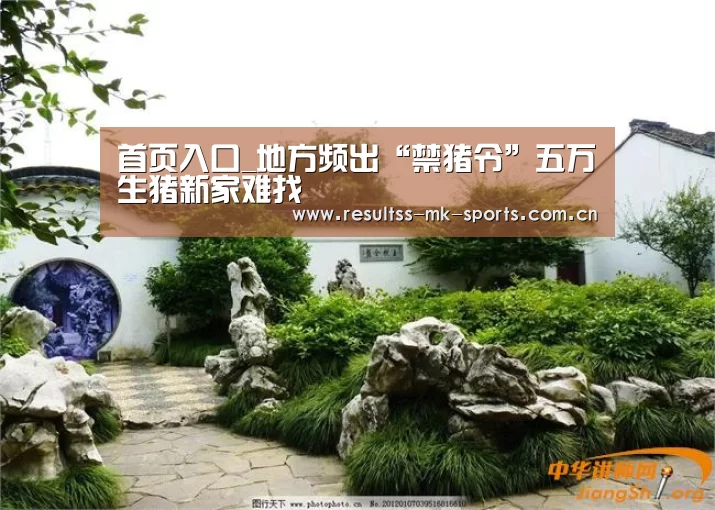 MK体育 
