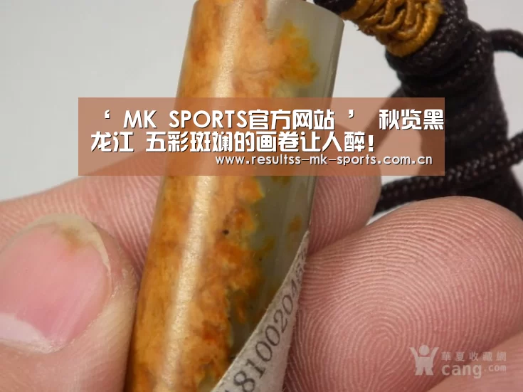 MK体育 